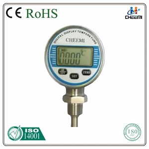 [Hot Item] High-Precision PT100 Digital Thermometer with Clear LCD Display