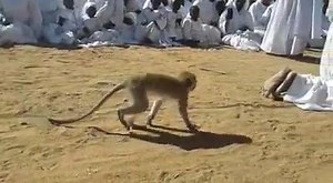 😯😯😯 | Zim Headlines