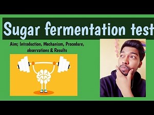 Sugar Fermentation test|Aim|Requirements|Principle|Procedure|Scientist R academy|Rohit Shankar Mane