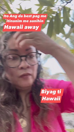 1.4K views · 51 reactions | Buhay Hawaii #hawaii #ilocanoakditoyhawaii #fruitlover #lychee #farmerlife | Mhiriam Ortiz Morla | Facebook