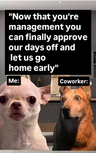 12K views · 127 reactions | 藍藍⭐ Official Evil Dog Meme Page Merch in my bio evildogofficial.com 藍 The funniest Evil Dog official Meme page | EvilDog Shamsy | Facebook