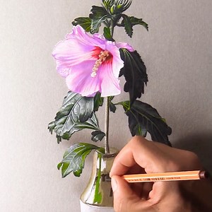 30K views · 816 reactions | How to draw a hibiscus | Marcello Barenghi - Illustrator | Facebook