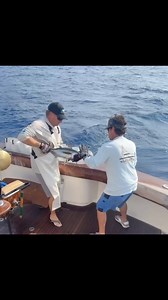 78K views · 773 reactions | Team LOLITA working it out. Congrats...