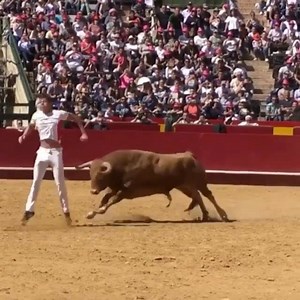 5.1K views · 123 reactions | De parar o coração  #touradas | Touradas | Facebook