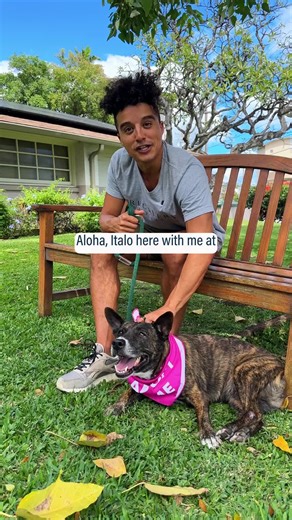 Recovery Law Center Hawaii on TikTok
