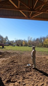 10K views · 120 reactions | Putting it in the new building - scene from "Cleaning bins, moving tractors and logs - episode 21 of season 16" | Boys In The Woods | Facebook