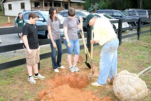 Milton to Teach How to Care for Your Trees