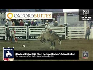 Clayton Biglow | 89 Pts. | Korkow Rodeos' Asian Orchid