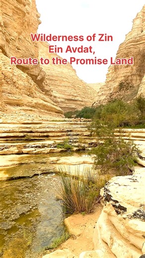 Visit Israel From Your Home on Reels