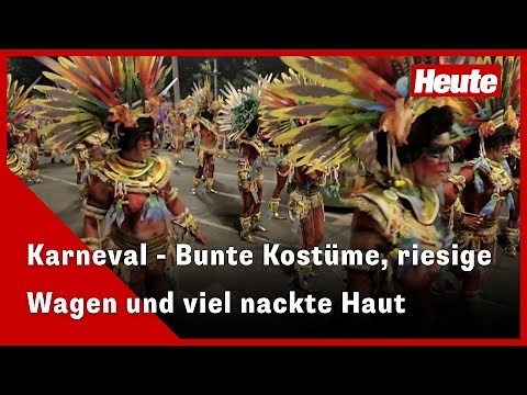 Karneval in Rio: Kostüme, Wagen und viel nackte Haut