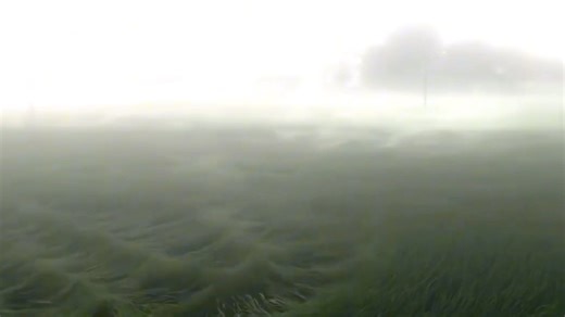 4K views · 95 reactions | Some of peace | Lovecore | Facebook