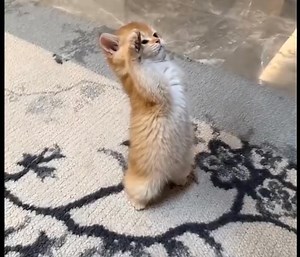 H Technology on Reels | Facebook