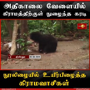 54K views · 516 reactions | அதிகாலை வேளையில் கிராமத்திற்குள் நுழைந்த கரடி | Newsfirst.lk Tamil | Facebook