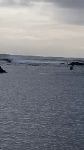 Bermagui harbour bar 😬😬😬 | Trapman Australia