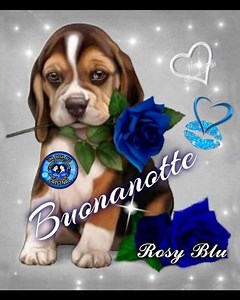 💙 | Una Rosa Blu
