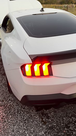 Mild Ghost cam idle on a 2024 s650 mustang gt with @hptuners . #mustang #mustanggt #s650mustang #nashville #mustangs | Taylor'd Tuning