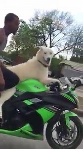 20K views · 242 reactions | WTH they do that at?? Fam i don't even know what to say about this... | Black Bike Week | Facebook