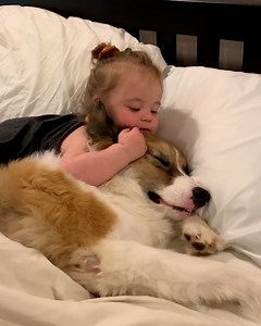 3.3M views · 214K reactions | This toddler and her dog are the best snuggle buddies 梁﫶 | Tyla | Facebook