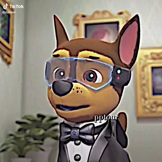 🛐#рек#щенячийпатруль#fyp#pawpatrol#on