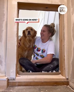 This dog mom renovated a small room under the stairs for her dog 🐶❤️ | Lessons Learned In Life