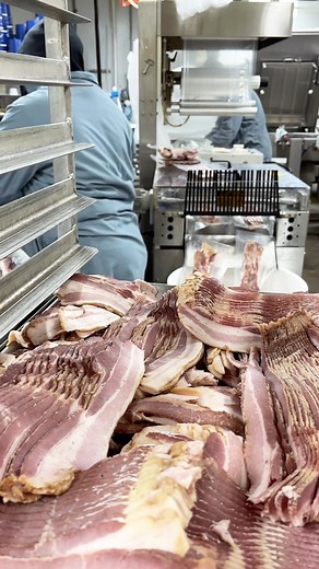 15 reactions | cured under #Indiana maple syrup and brown sugar, overhauled by hand every day for over a week, slow smoked over real apple wood, and the #PackagingCrew with that extra special care: there’s no shortcut to our #ApplewoodBacon — check out sliced packages + #BaconBits and more for home delivery + wholesale shipping nationwide at smokinggoose.com | Smoking Goose Meatery | Facebook