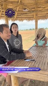 Nook nook | Nook Nook TV