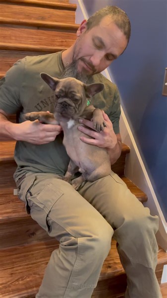 I wonder how many kisses Rufus can give in 1 minute. | Callahan French Bulldogs