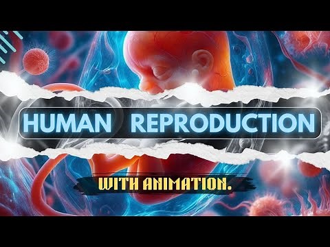 HUMAN REPRODUCTION with animation in just 25 minutes. #class12 #ncert