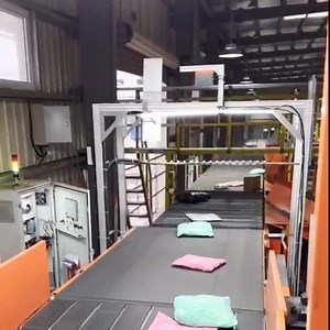 [Hot Item] Intelligent Narrow Belt Conveyor Sorter for Efficient Package Handling