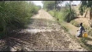 26 reactions | SRSO - Sindh Rural Support Organization on Reels | Facebook