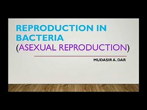Asexual reproduction in bacteria (Fission, budding and conidia formation)...
