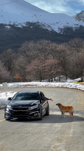 Kia Optima İlə Paylaşımlarınızı Edin