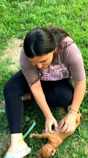 152K views · 8.6K reactions | Masti time #puppy #puppies #puppylove #puppylovers #puppylife #dogmother #dogmom #dog #dogs #dogfood #doglife #doglover #doglovers #supportus #blessings #love #reels #viral #instareels #insta #instagram #fb #fbreels #fbreelsvideo #fbreelsfypシ゚viral | Bezubaanjaan1517 | Facebook