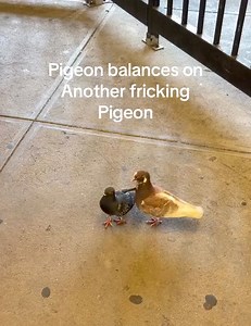 Two government drones transmitting data between each other | Inziewienzie Inziewienzie