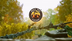 8K views | Order your favorite blends and snacks EVERYDAY @ your nearest Milk Tea Safari branch! ❤️ Enjoy your dine-in or take advantage of our free inhouse delivery.溜 You may also find us on Foodpanda & Grabfood 溜 #ilovemilkteasafari | Milk Tea Safari | Facebook