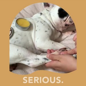 44K views · 59 reactions | It's True, When It Comes To... ...