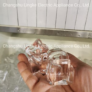 [Hot Item] Zbj-30 Commercial Cube Ice Maker