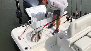 1.8K views · 49 reactions | REDFISH and SPECKLED TROUT coming back to the docks... customers going to be eating good tonight! LIVE Minnows and Shrimp from the shop getting it done. Come get you some! | Chasin Tails Outdoors Bait & Tackle | Facebook