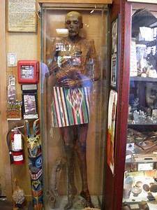 10 Weird and Unusual Things to See and Do in Washington State