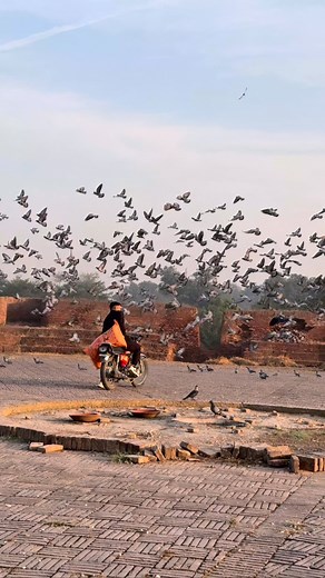 54K views · 454K reactions | Inshallah banyga naya pakistan #instagram #instagood #fitnessmotivation #viral #insta | Rashid Gujjar Qilly Ala | Facebook