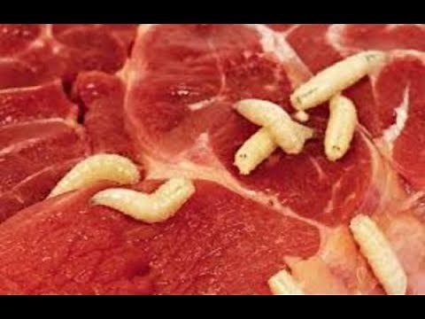 Worms Living In Pork???