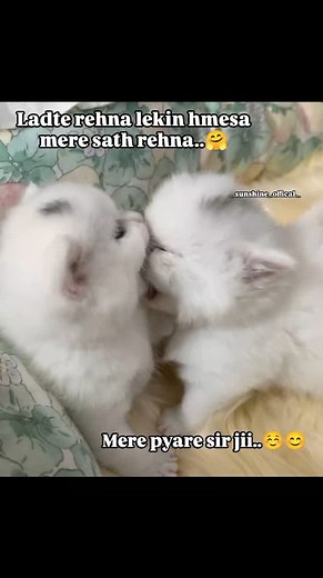 Sir jiii😊 #trending #viral | Sunshine Officiall