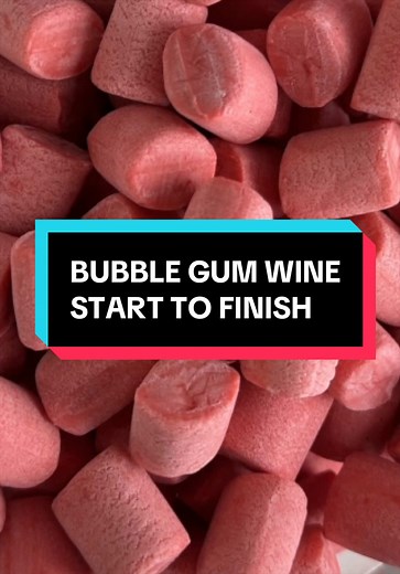 Bubble gum wine start to finish 🍷 #mead #homebrew #fermentation #experiment