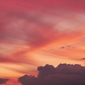 Liberty Counsel on Reels