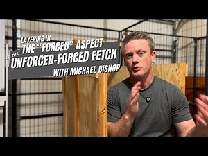 Unforced Forced Fetch: Pressure in “Hold” | Michael Bishop | Little Rock Dog Trainer