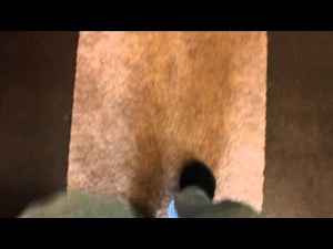 How To Walk (HowToBasic Parody)