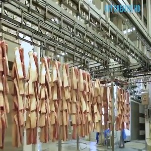 Incredible modern pork processing factory technology | Jalise & Justine Williams