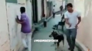 😂😂😂 | Mood Maker Videos