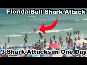 3 Florida Shark Attacks in One Day :Bull Shark 2024 Elisabeth Foley, Lulu Gribbin, McCray Faust