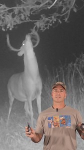 1.4K reactions · 5 comments | The secret to communicate with whitetails, glandular scents! | RAISED HUNTING | Facebook